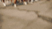 Drake In My Feelings GIF by Cash Money