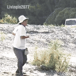 giffunme giphyupload GIF