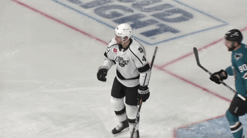 Reignhockey GIF by Ontario Reign