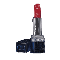 PolovkovaArt dior red lipstick помада диор Sticker