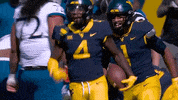 College Football GIF by WVU Sports