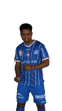 Blau Weiss Austria Sticker by FC Blau Weiß Linz