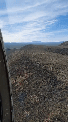 B_Perry  GIF