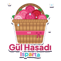 Rose City Flowers Sticker by Antalya City Guide