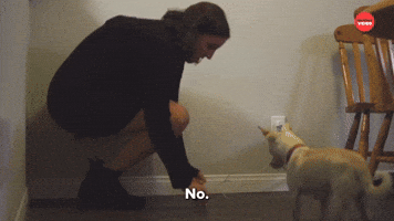 You Contribute Nothing