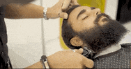 GIF by Sobrebarba