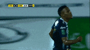 GIF by TD Más