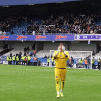 New Zealand Hug GIF by MillwallFC