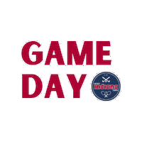 thcindiana indiana thc indiana hockey indiana indiana hockey Sticker