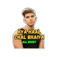 divyansh_pandey splitsvilla himanshu himanshu arora himanshudivyansh Sticker