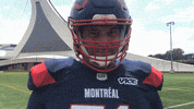 Montreal Alouettes Football GIF by Alouettes de Montréal