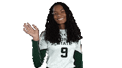 Volleyball Waving Sticker by Colorado State Rams