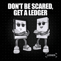 Crypto Stay Safe GIF by Ledger