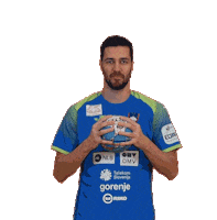 Handball Euro Sticker by Rokometna zveza