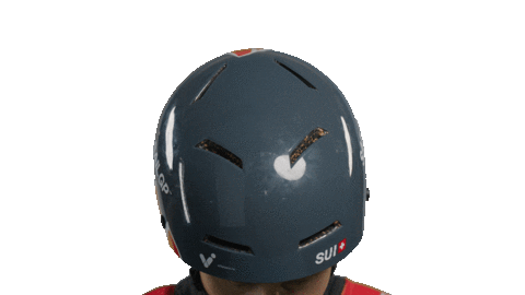 Team Switzerland Sticker by SailGP