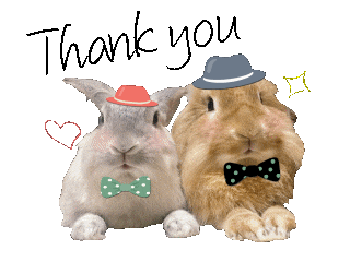 Thanks Bunny Sticker