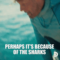 Scared Gold Rush GIF by Discovery