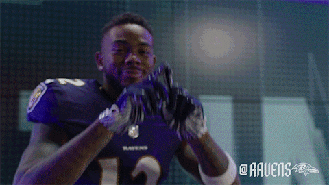 Football Celebrate GIF by Baltimore Ravens