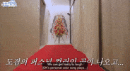 Dk Running GIF