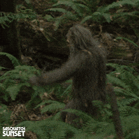 Jesse Eisenberg Bigfoot GIF by Bleecker Street