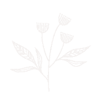 Flowers Цветы Sticker