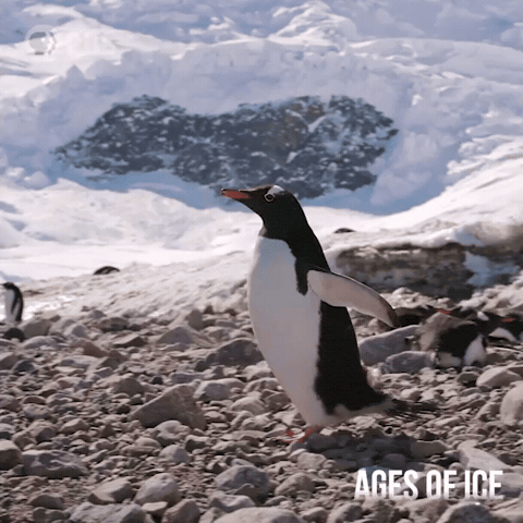 On My Way Running GIF by PBS