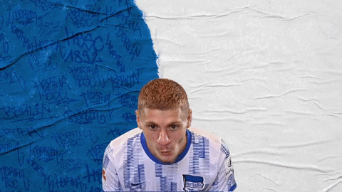 Bundesliga Berlin GIF by Hertha BSC