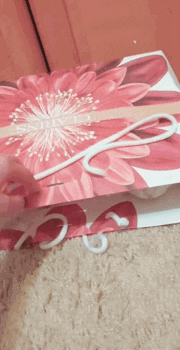 White Cat GIF