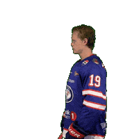 Match Matchday Sticker by VIF Hockey