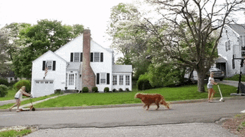 GIF by Mashable
