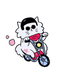 Cat Moto Sticker