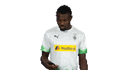 Call Me Hello Sticker by Bundesliga