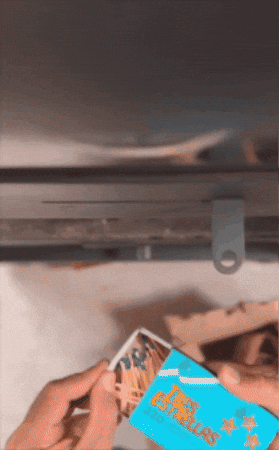 GIF animado