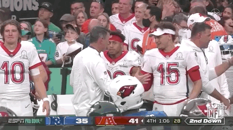 National Football League GIF by NFL