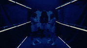 North Carolina GIF by UNC Tar Heels