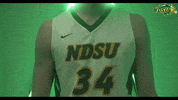 North Dakota State Bison GIF by NDSU Athletics