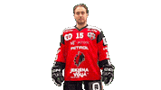 Happy Sport Sticker by HDD SIJ Acroni Jesenice