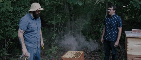 baristas beekeeper GIF by The Orchard Films
