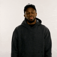 Mixed Martial Arts No GIF by UFC