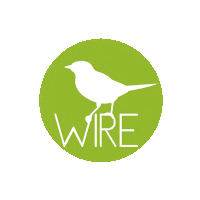 Flying Real Estate Sticker by The WIRE Team