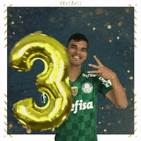 Soccer Futebol GIF by SE Palmeiras