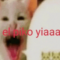 Chileno GIF