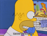 season 3 homer GIF