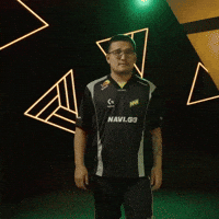 Navi Zayac GIF by Natus Vincere