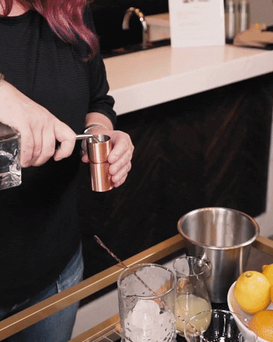 ryancvet giphygifmaker cocktail mixology ryan vet GIF