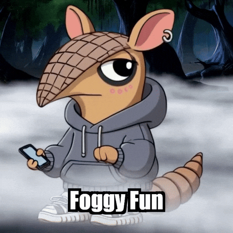 GIF by Chillo Dillo
