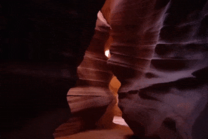 arizona GIF
