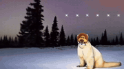 November Remember GIF by colegioroth