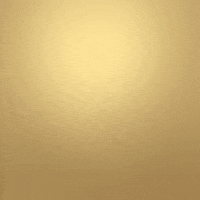 Party Flower GIF by RGL DECORS