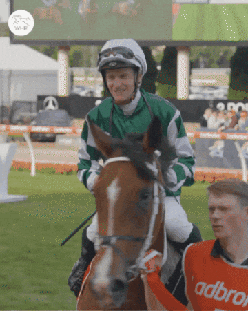 Hypes Yes GIF by World Horse Racing